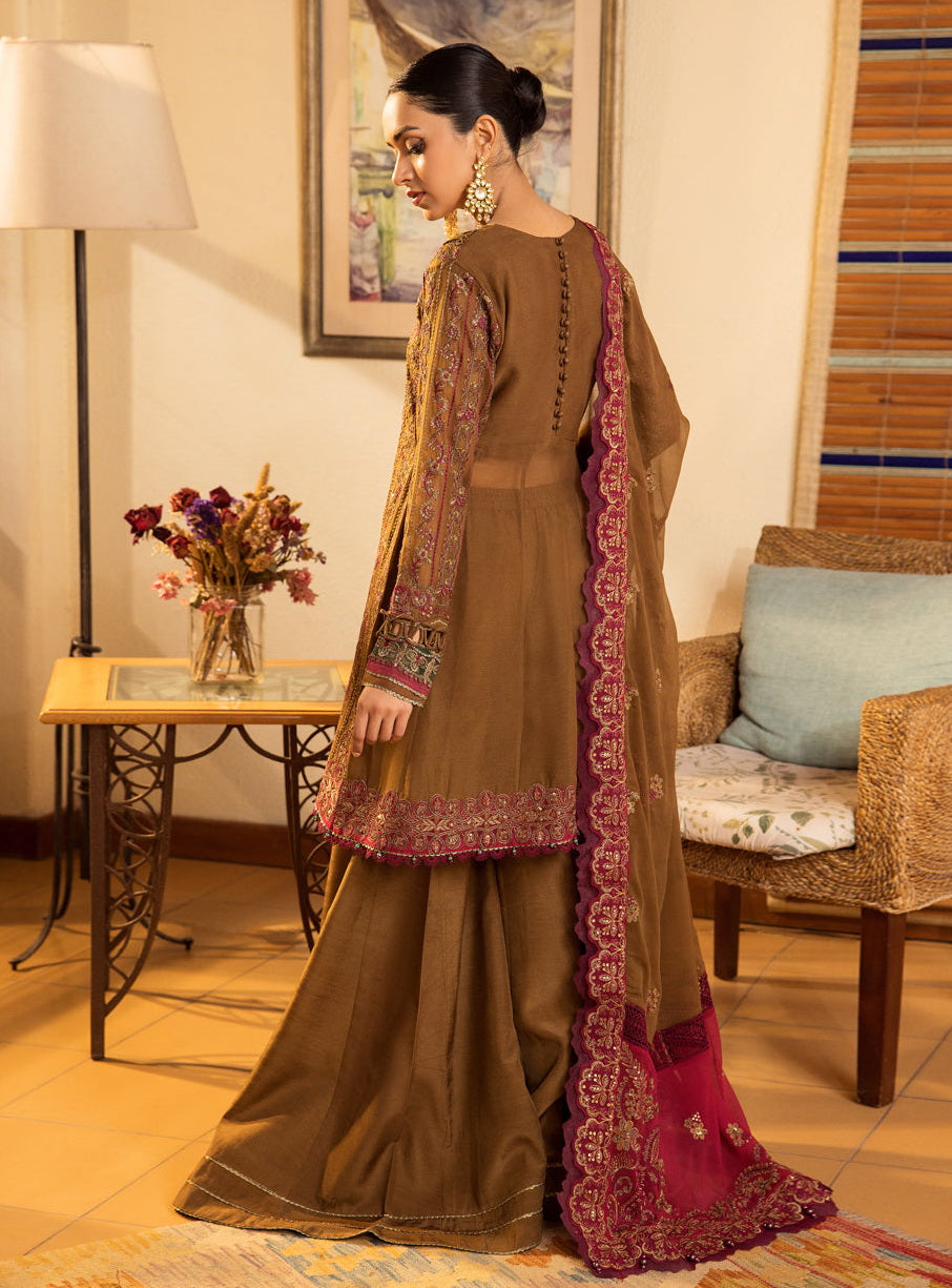 Maria b Organza Fancy