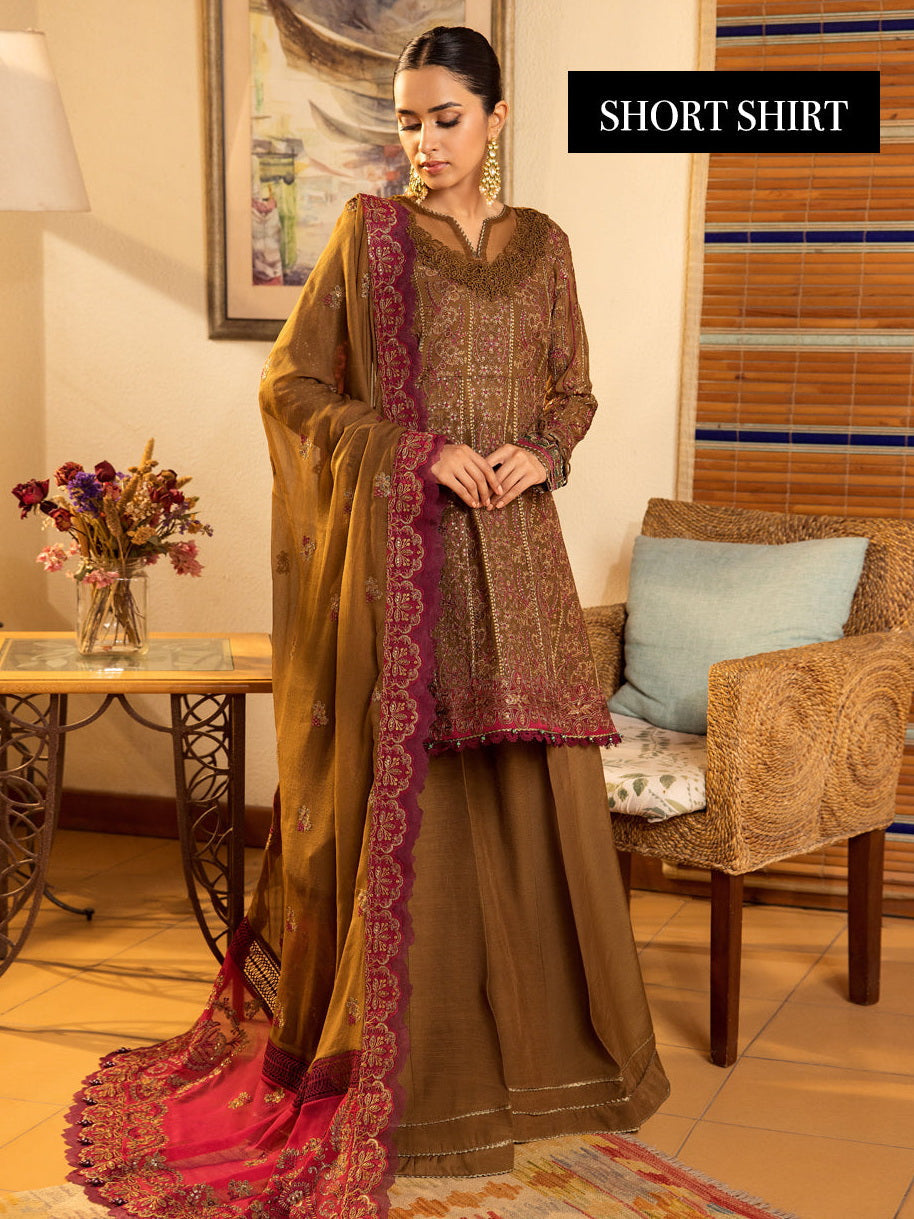 Maria b Organza Fancy