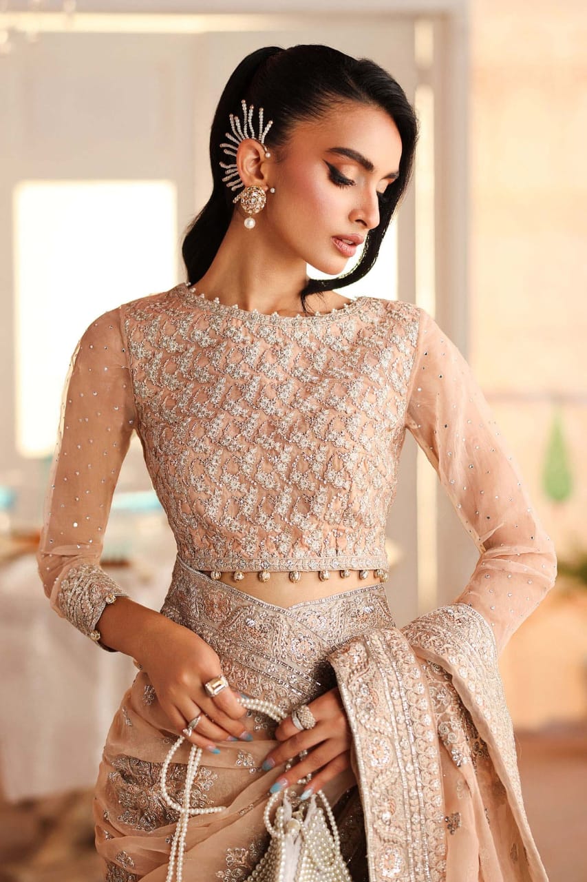 Maria B Saree