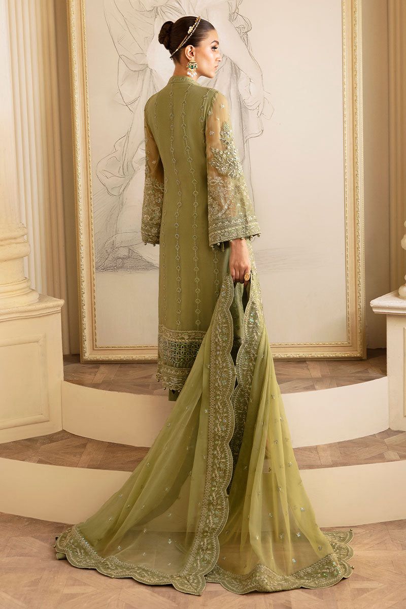 Gulaal Chiffon Fancy
