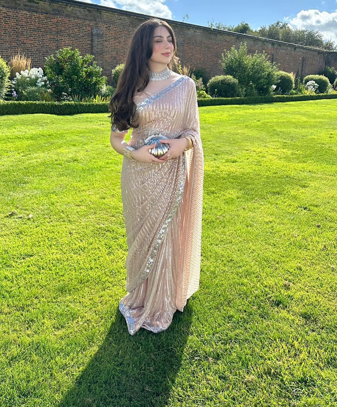 Chiffon Saree