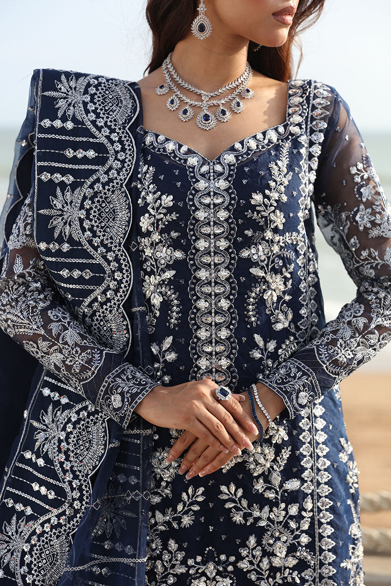 Gulaal Net Fancy