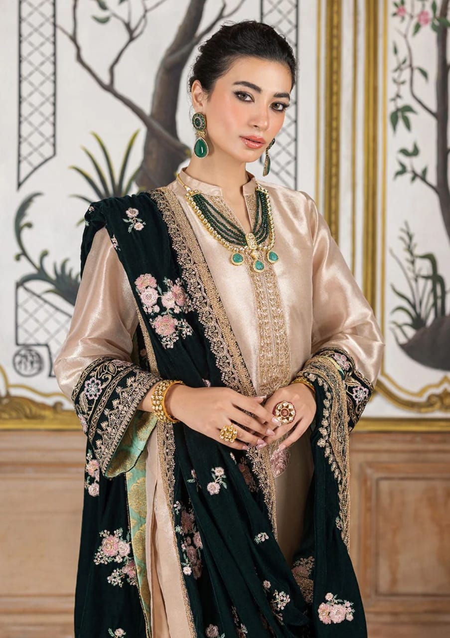 Zainab Chottani Velvet Fancy