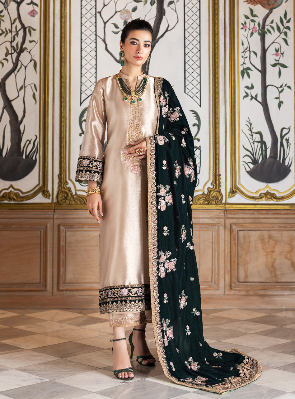 Zainab Chottani Velvet Fancy