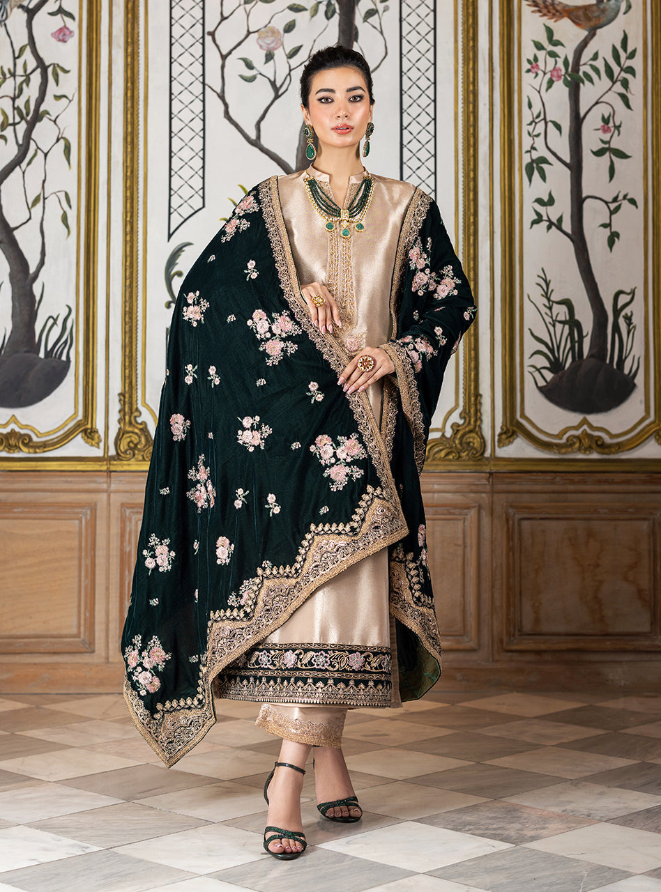 Zainab Chottani Velvet Fancy