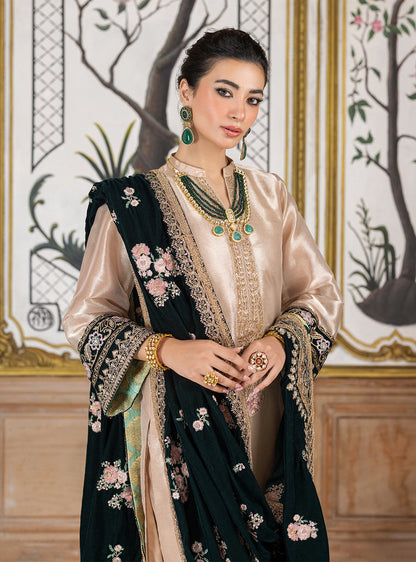 Zainab Chottani Velvet Fancy