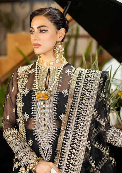 Afrozeh Chiffon Fancy