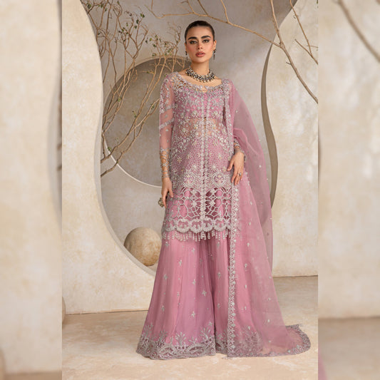 Rang Rasiya Organza Fancy