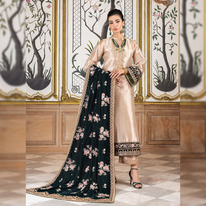 Zainab Chottani Velvet Fancy