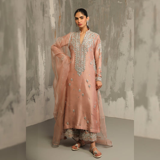 Nida Azwer Silk Fancy