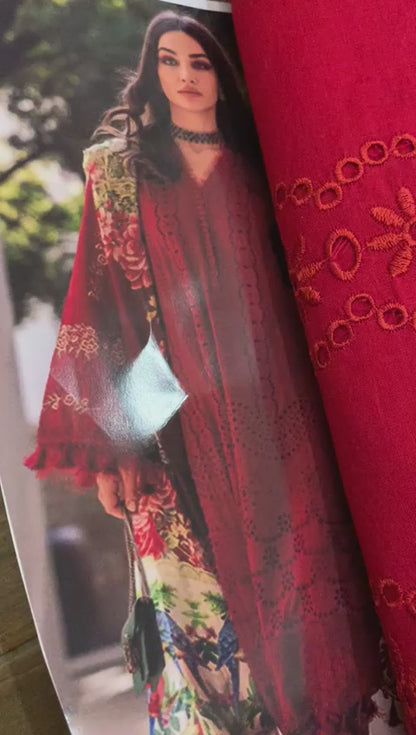 Crimson Lawn Fancy