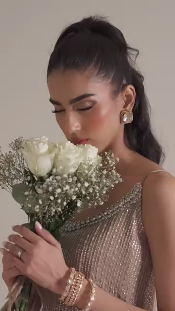 Zaib Chiffon Fancy