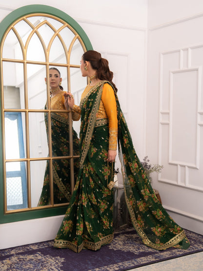 Aneela Chiffon Saree