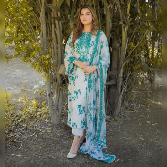 Aneela Silk Fancy