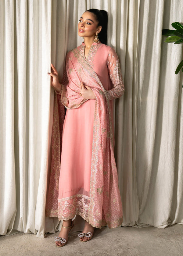 Neeshay Chiffon Fancy