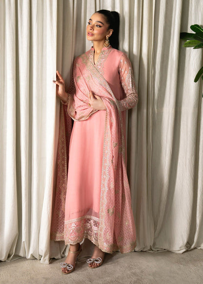 Neeshay Chiffon Fancy