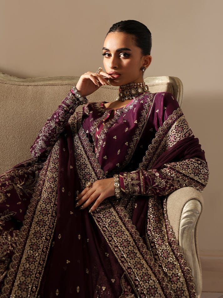 Gulaal Chiffon Fancy