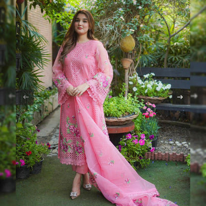 Aneela Organza Fancy