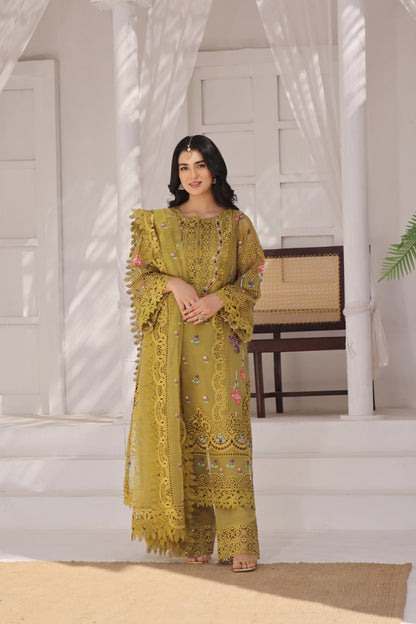 Aneela Organza Fancy