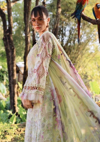 Maria B Lawn Fancy