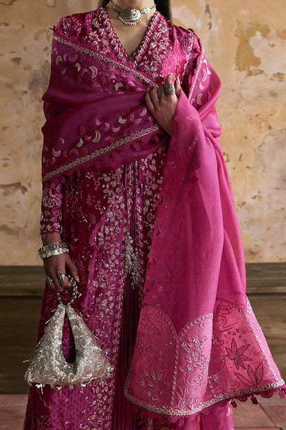 Suffuse Chiffon Fancy