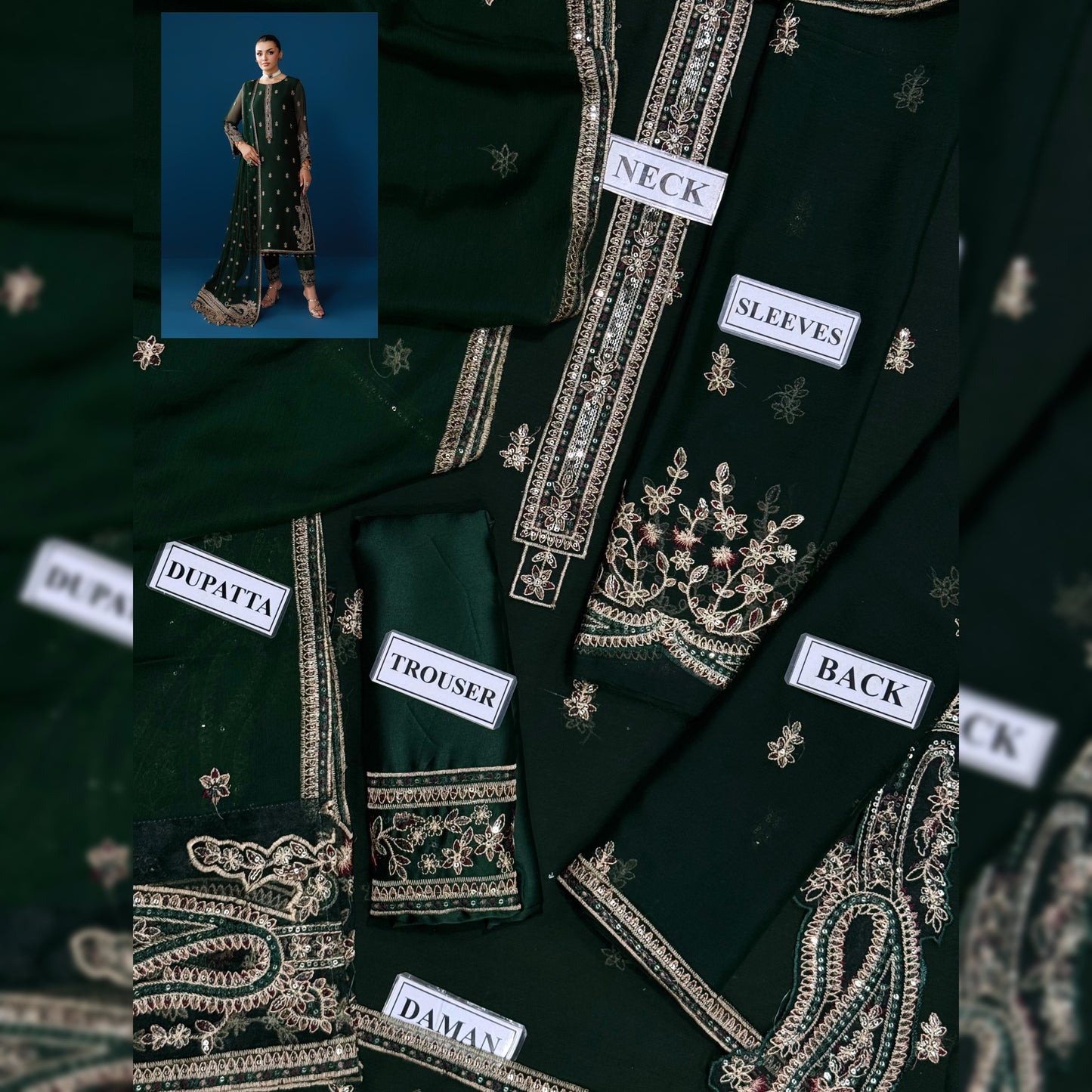 Alizey Chiffon Fancy