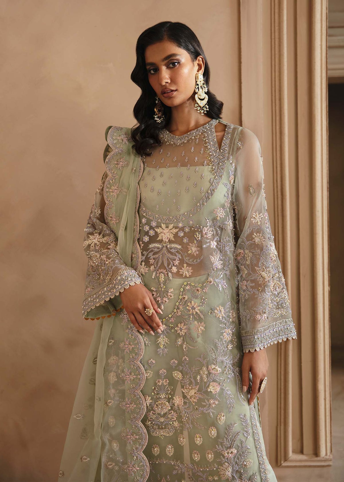 Akbar Aslam Organza Fancy