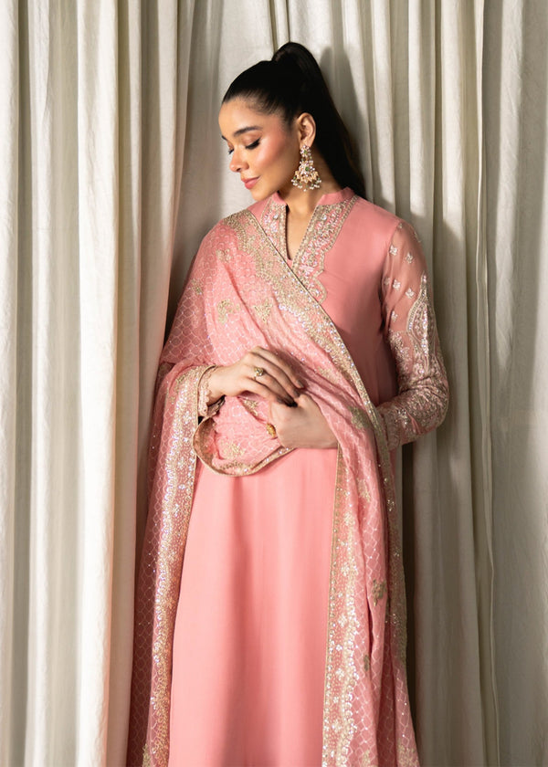 Neeshay Chiffon Fancy