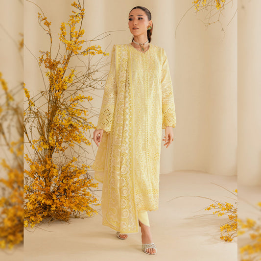 AIK Lawn Fancy