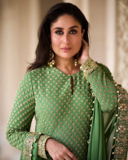 Kareena Chiffon Fancy