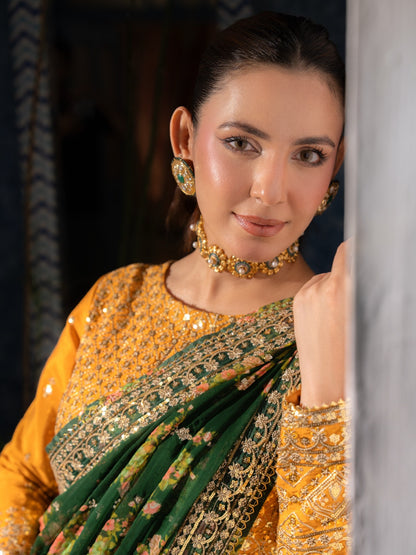 Aneela Chiffon Saree