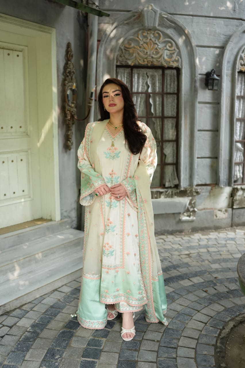 Aneela Silk Fancy