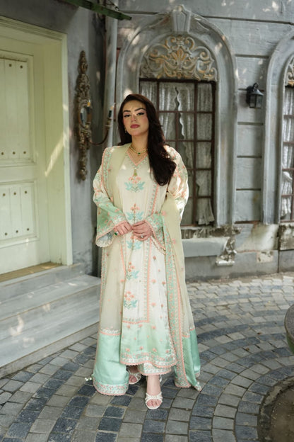 Aneela Silk Fancy