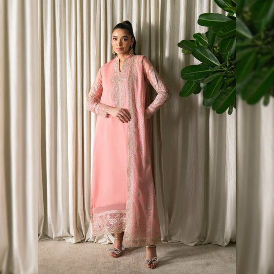 Neeshay Chiffon Fancy