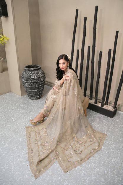 Maria B Organza Fancy