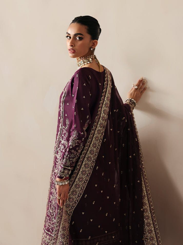 Gulaal Chiffon Fancy