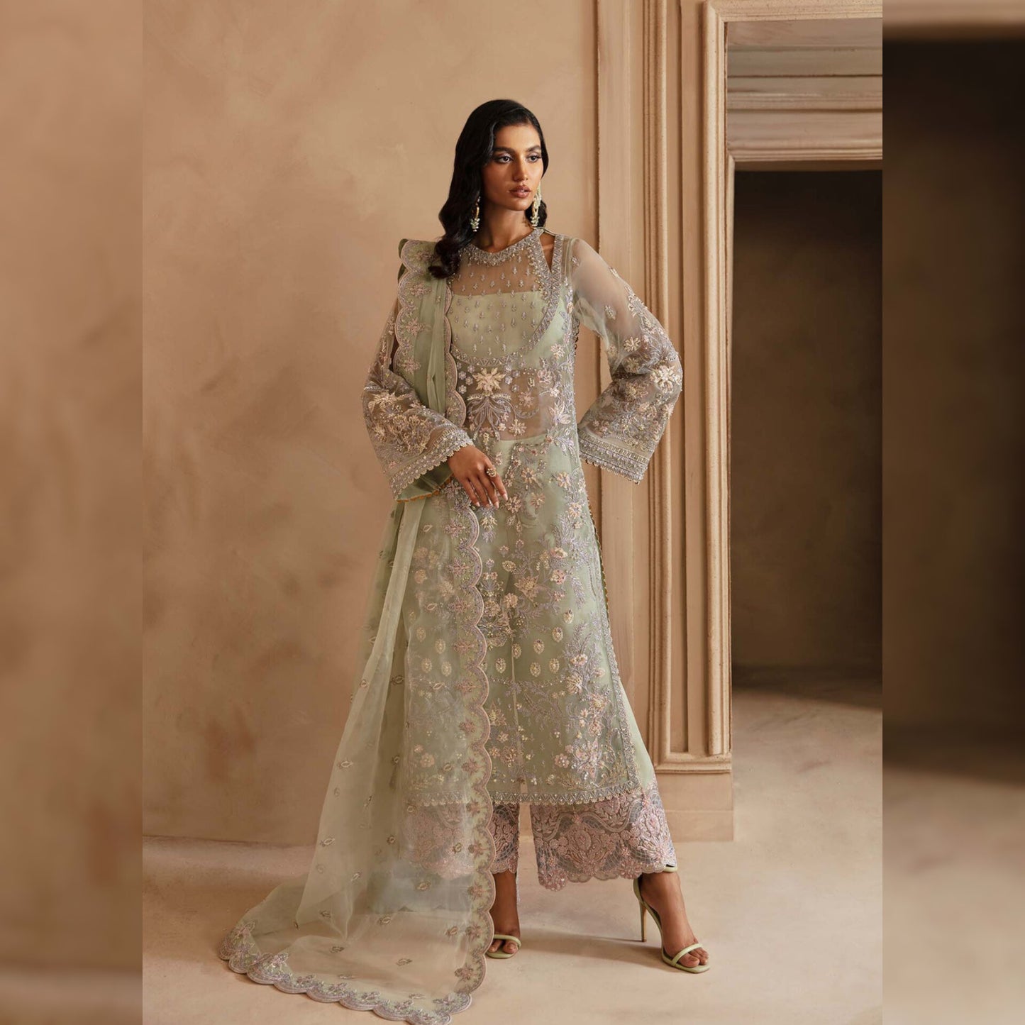Akbar Aslam Organza Fancy
