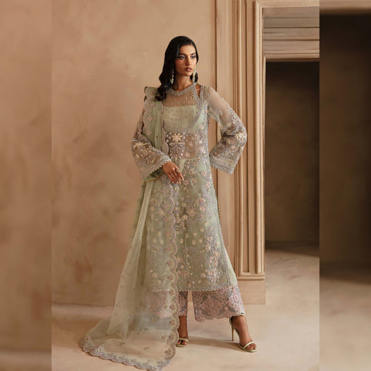 Akbar Aslam Organza Fancy
