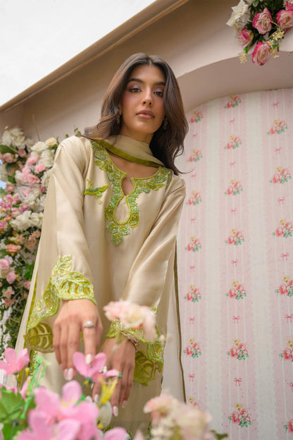 Style Silk Fancy