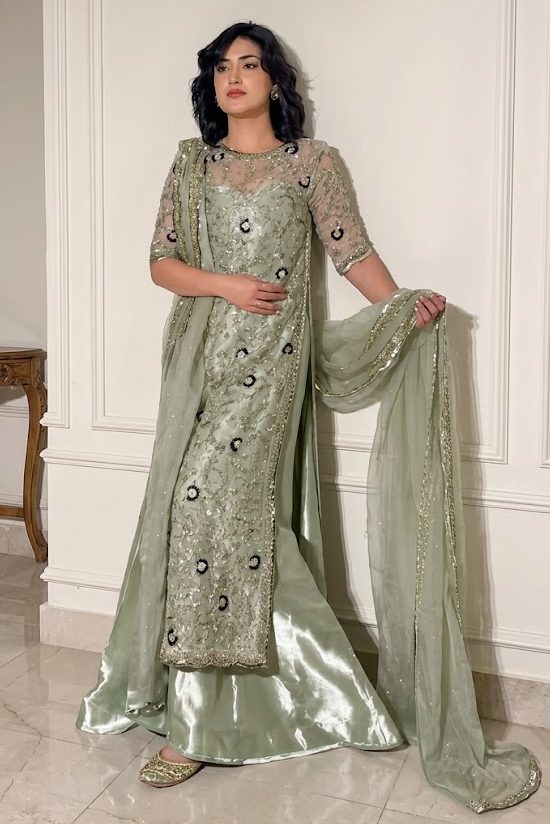 Haris Shakeel Organza Fancy