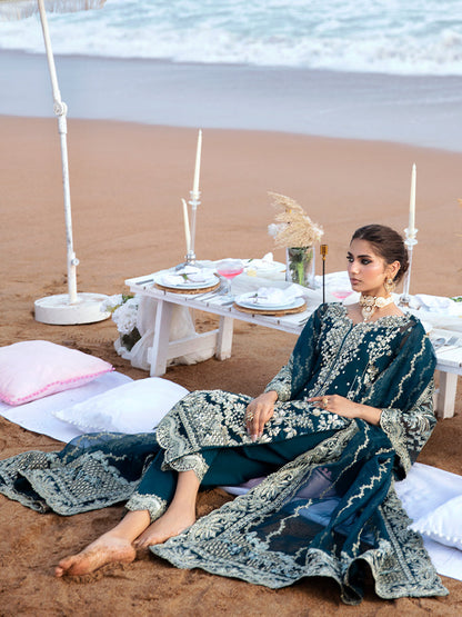 Gulaal Chiffon Fancy