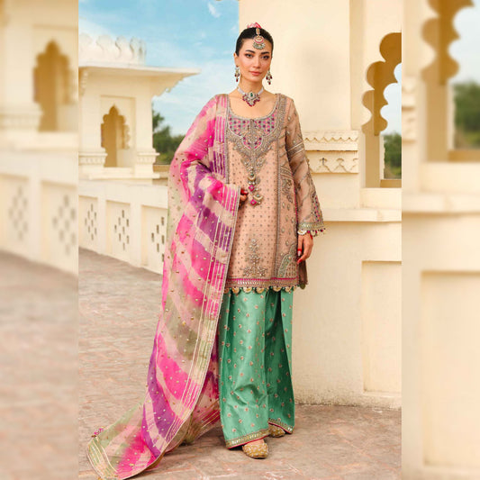 Maria B Organza Fancy