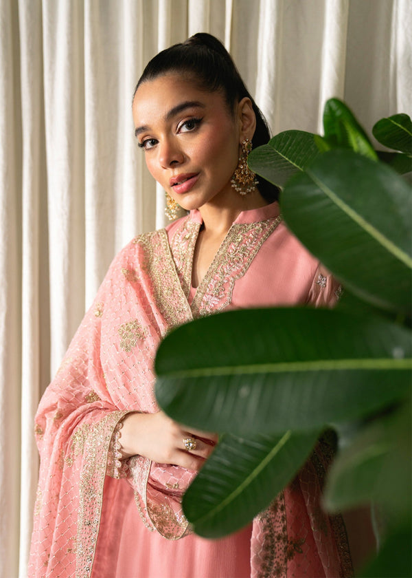 Neeshay Chiffon Fancy
