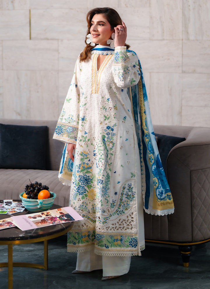 Neeshay Lawn Fancy