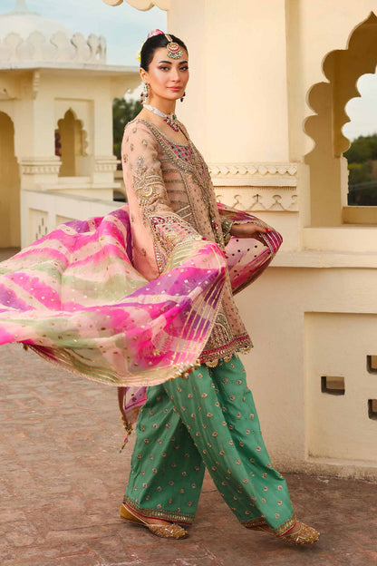 Maria B Organza Fancy