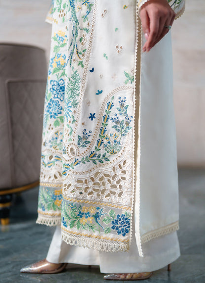 Neeshay Lawn Fancy