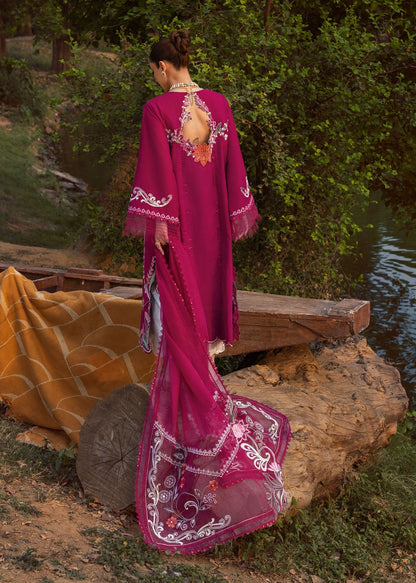 Crimson Lawn Fancy