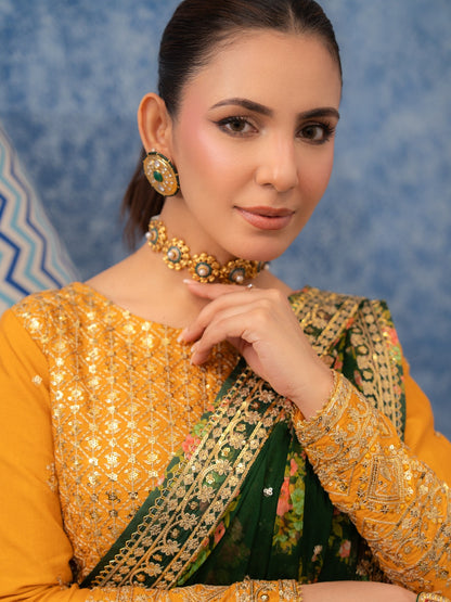 Aneela Chiffon Saree