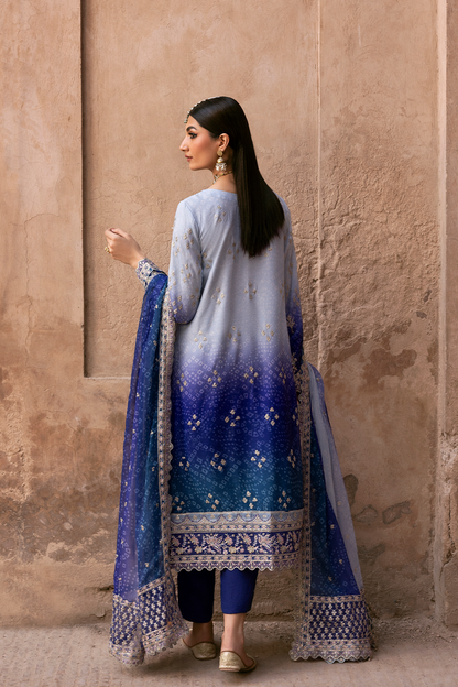 Emaan Adeel Chiffon Fancy