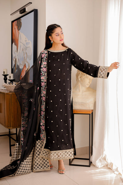 Aneela Silk Fancy
